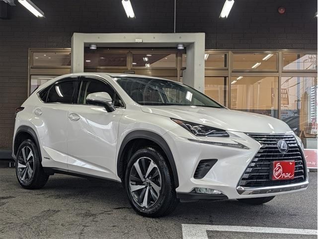 LEXUS NX300h