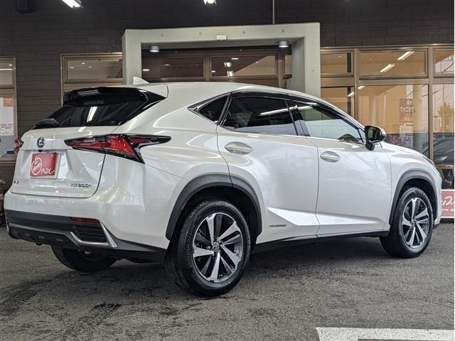 LEXUS NX300h