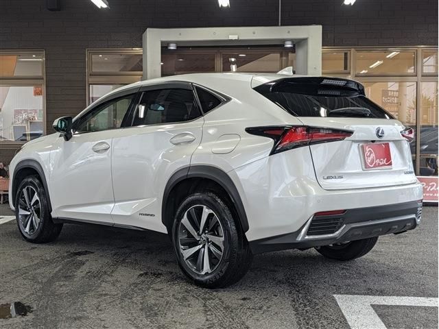 LEXUS NX300h