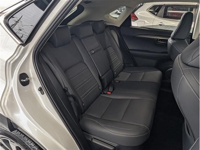 LEXUS NX300h