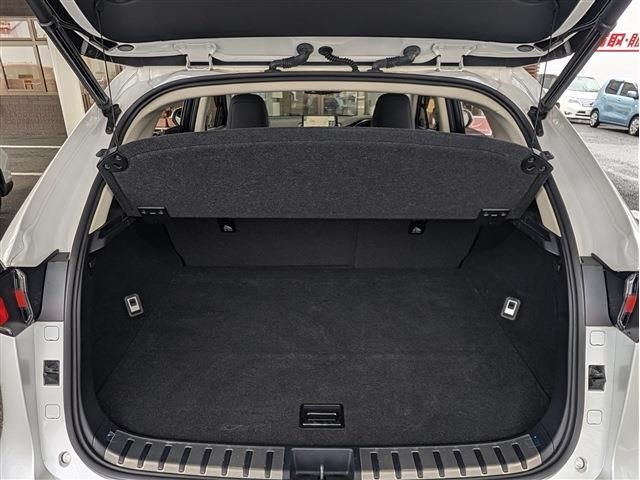 LEXUS NX300h