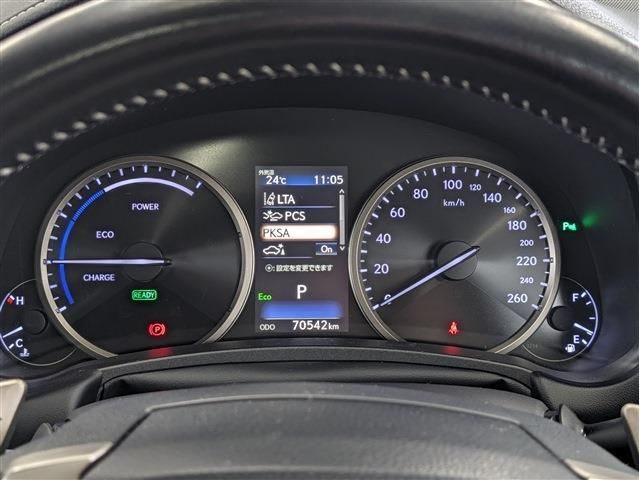 LEXUS NX300h