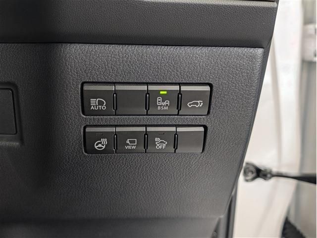 LEXUS NX300h