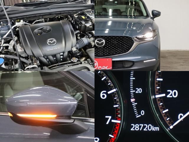 CX-30
