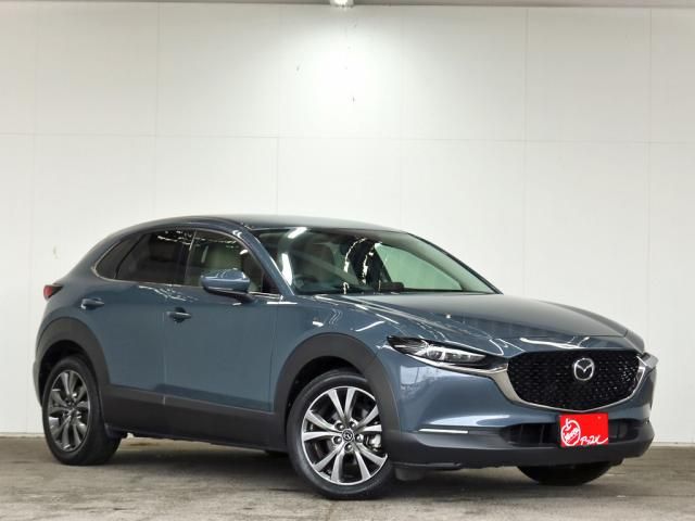 CX-30