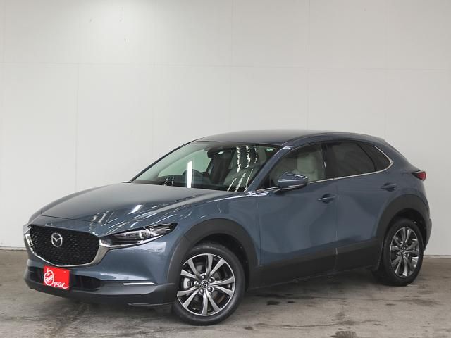 CX-30