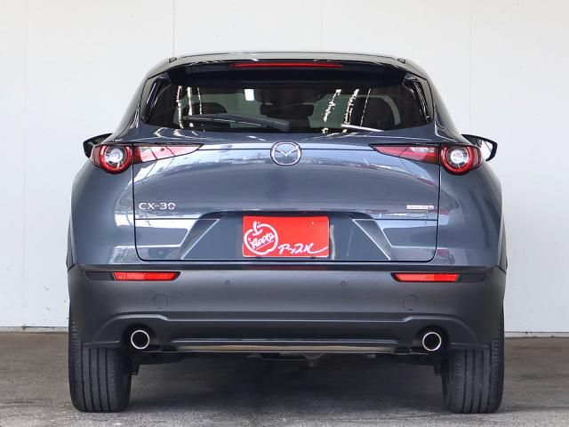 CX-30