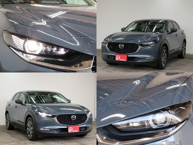 CX-30