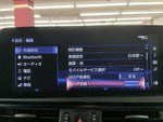LEXUS ES300h