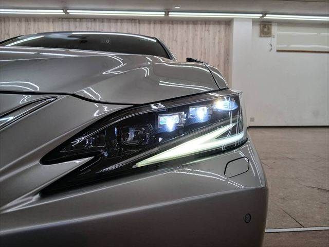 LEXUS ES300h