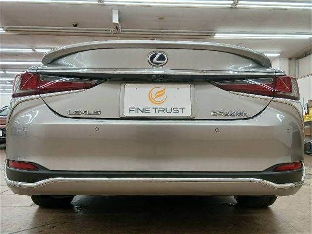 LEXUS ES300h
