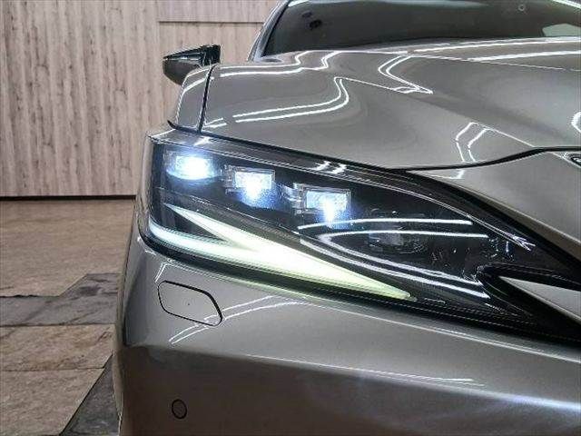 LEXUS ES300h