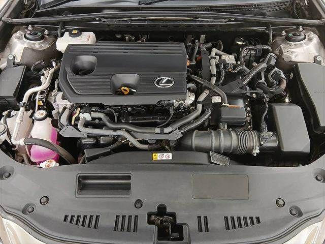 LEXUS ES300h