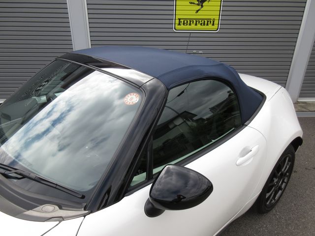 ROADSTER