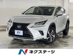 LEXUS NX300