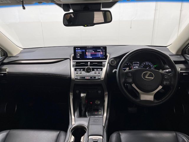 LEXUS NX300