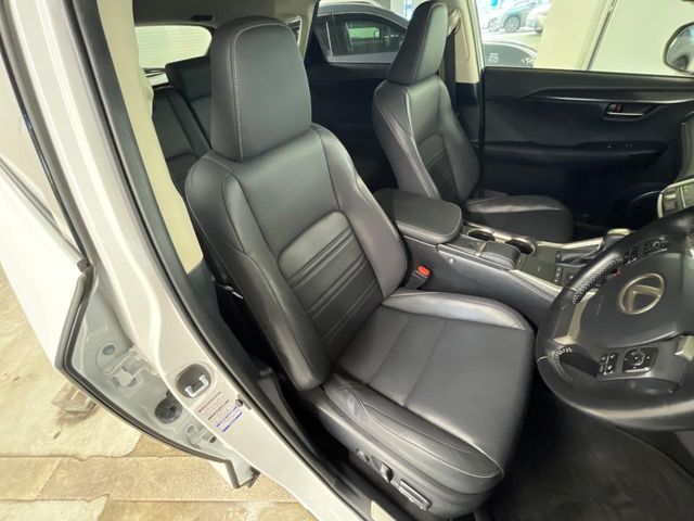 LEXUS NX300