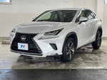 LEXUS NX300