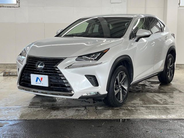 LEXUS NX300