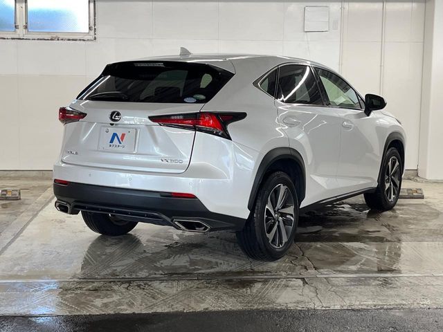 LEXUS NX300