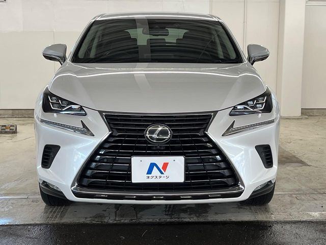 LEXUS NX300
