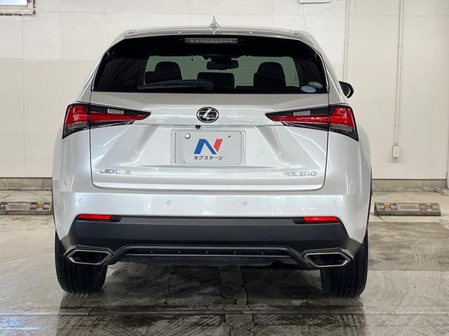 LEXUS NX300