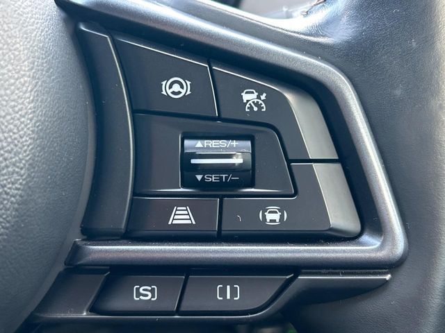 LEVORG LAYBACK