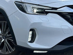 LEVORG LAYBACK