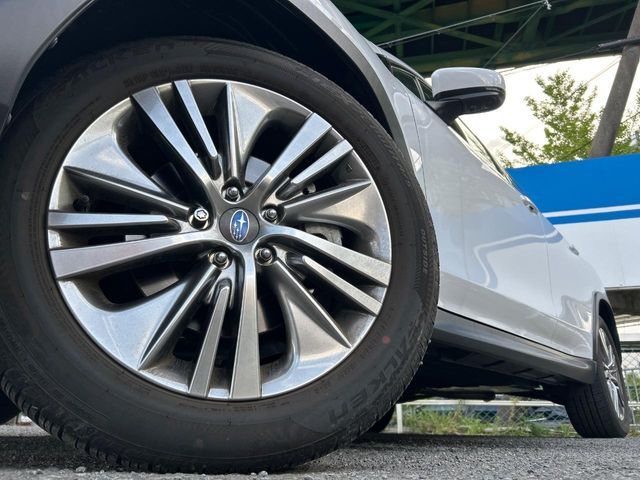 LEVORG LAYBACK