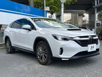 LEVORG LAYBACK