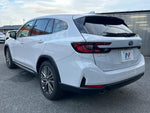 LEVORG LAYBACK