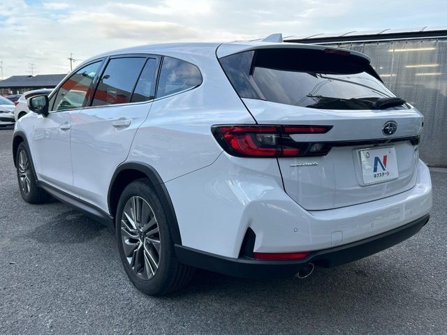 LEVORG LAYBACK