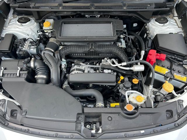 LEVORG LAYBACK