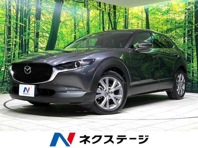 CX-30