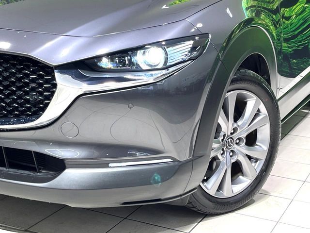 CX-30