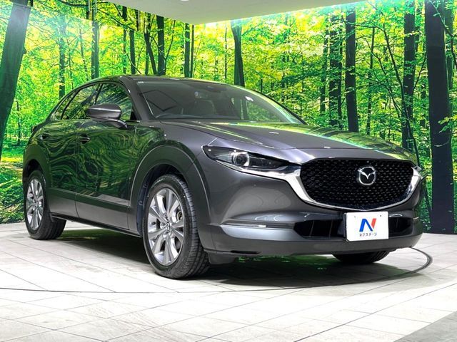 CX-30