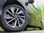 SERENA  S-HYBRID