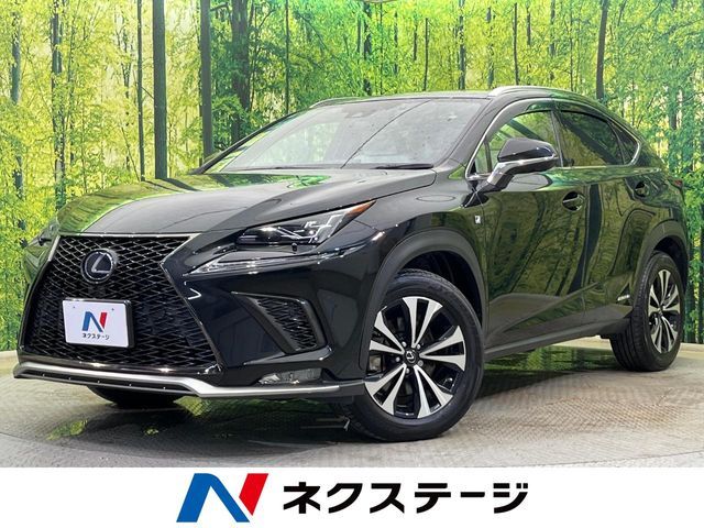 LEXUS NX300h AWD