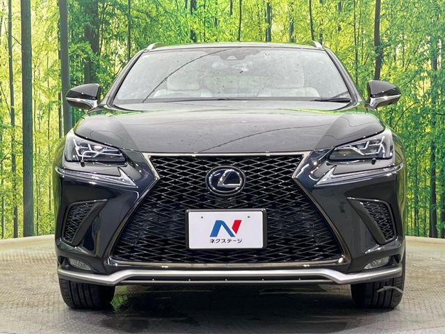 LEXUS NX300h AWD