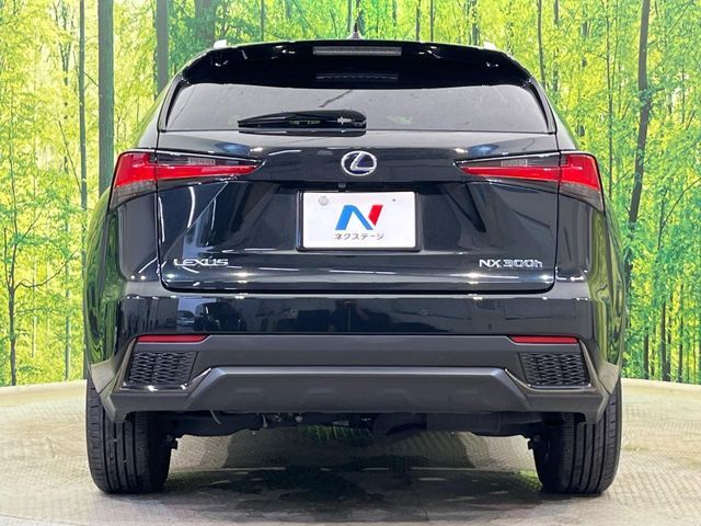 LEXUS NX300h AWD