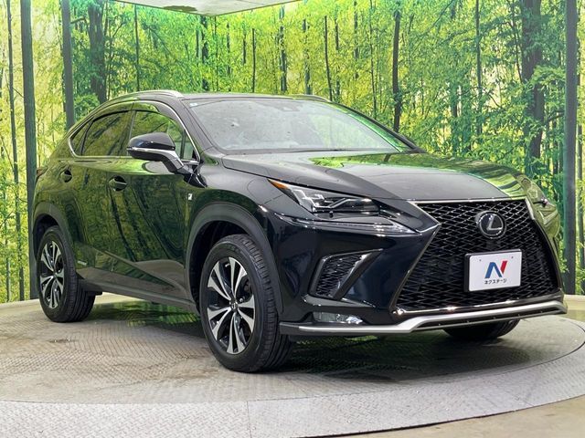 LEXUS NX300h AWD