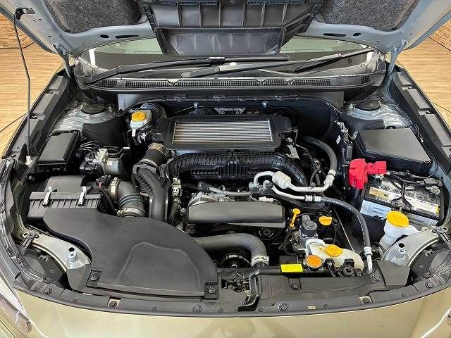LEGACY OUTBACK