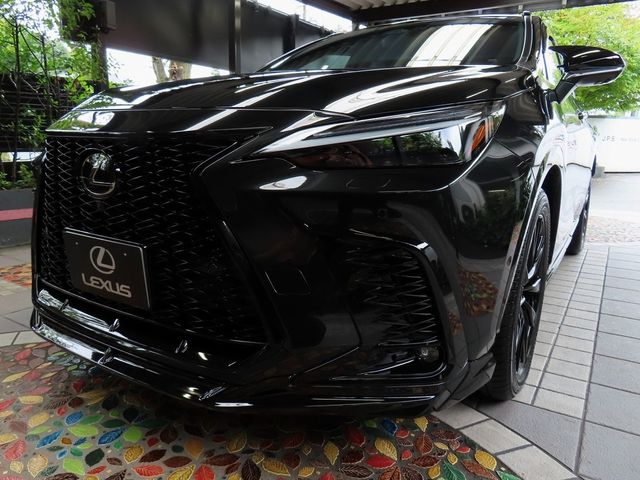 LEXUS NX450h+ AWD