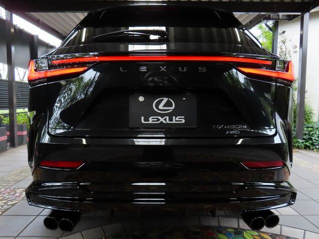 LEXUS NX450h+ AWD