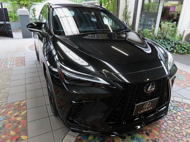 LEXUS NX450h+ AWD