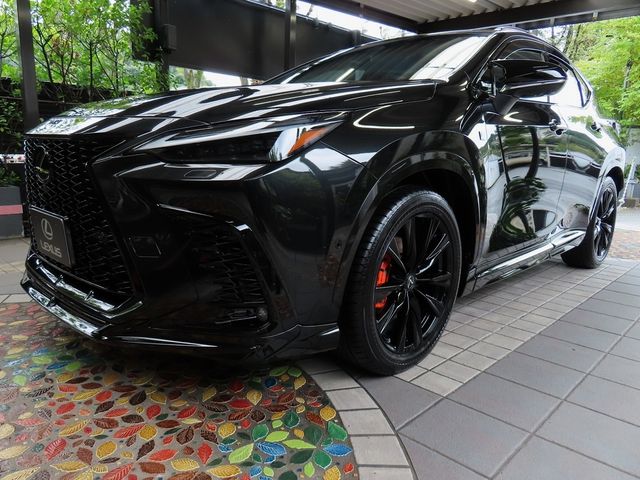 LEXUS NX450h+ AWD