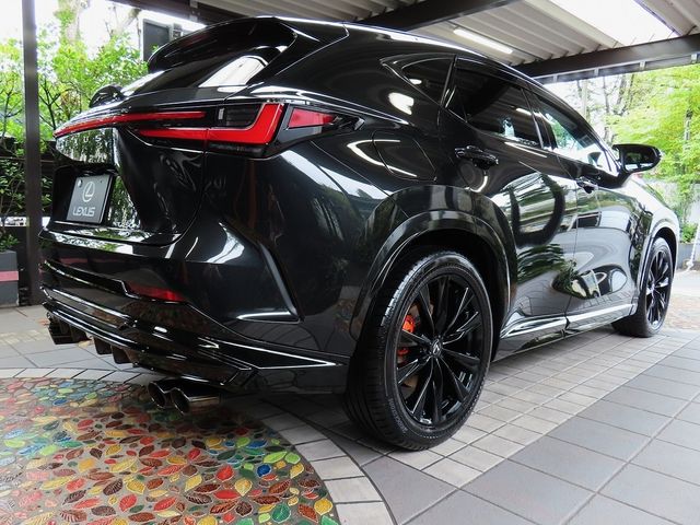 LEXUS NX450h+ AWD