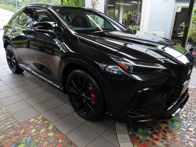 LEXUS NX450h+ AWD