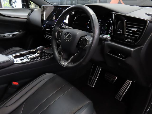 LEXUS NX450h+ AWD