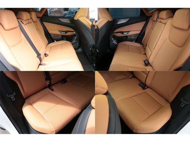 LEXUS NX350h AWD
